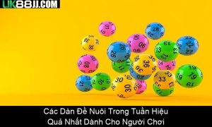 Nuôi Dàn Đề 20 Số Chuẩn Xác Nhất – Bí Quyết Thắng Lớn
