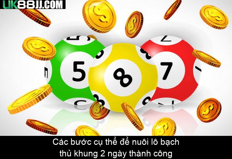 Các bước cụ thể để nuôi lô bạch thủ khung 2 ngày thành công