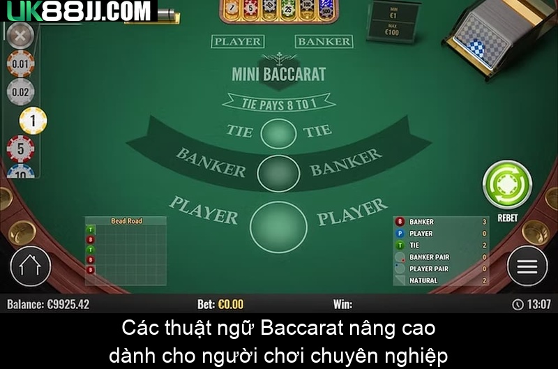 Các thuật ngữ Baccarat nâng cao dành cho người chơi chuyên nghiệp