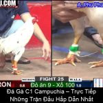 Đá Gà C1 Campuchia – Trực Tiếp Những Trận Đấu Hấp Dẫn Nhất