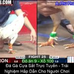 Đá Gà Cựa Sắt Trực Tuyến Trải Nghiệm Hấp Dẫn Cho Người Chơi