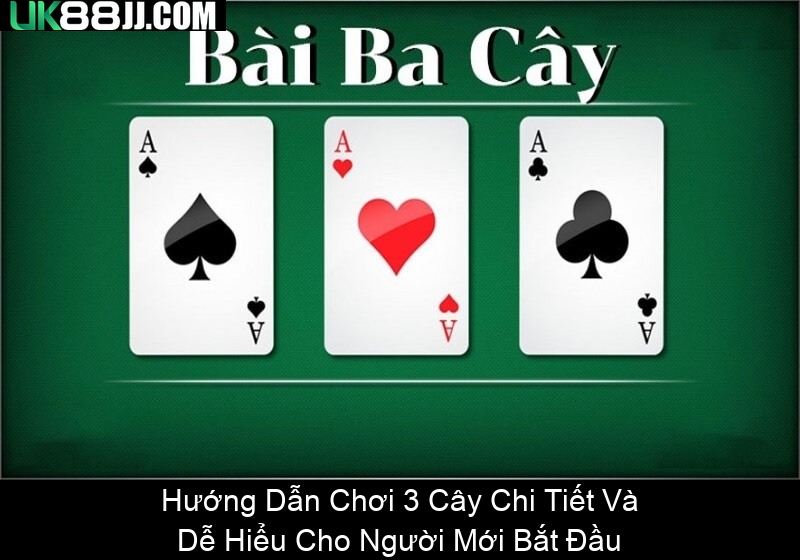 Hướng Dẫn Chơi 3 Cây Chi Tiết Và Dễ Hiểu Cho Người Mới Bắt Đầu