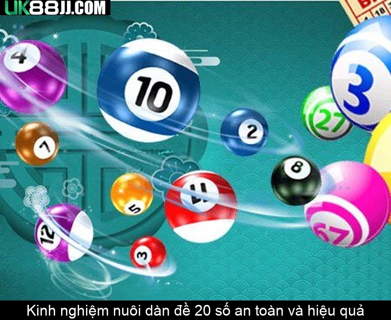 Kinh nghiệm nuôi dàn đề 20 số an toàn và hiệu quả