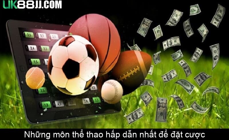 Những môn thể thao hấp dẫn nhất để đặt cược