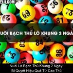 Nuôi Lô Bạch Thủ Khung 2 Ngày Bí Quyết Hiệu Quả Từ Cao Thủ