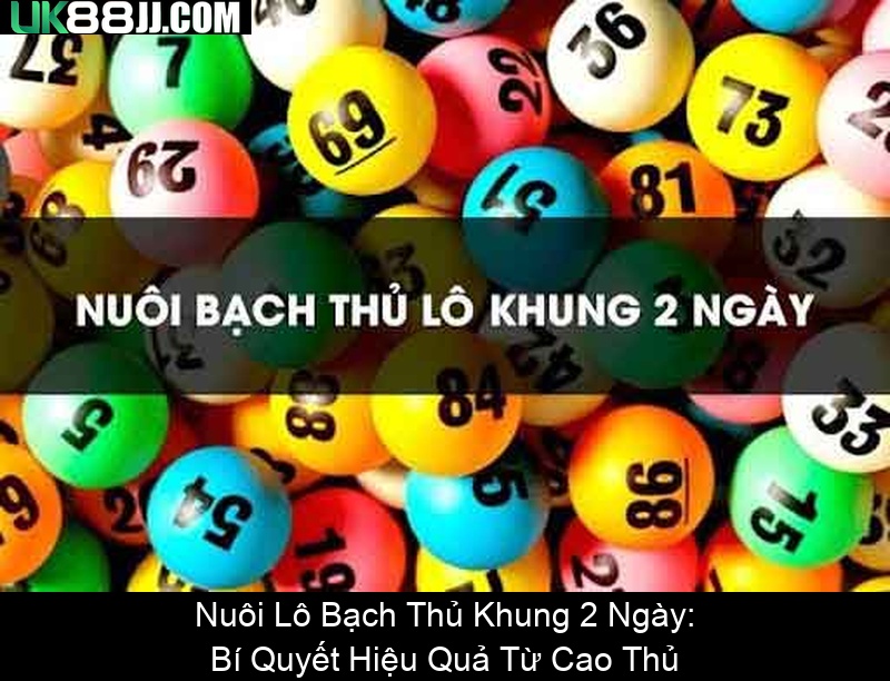 Nuôi Lô Bạch Thủ Khung 2 Ngày Bí Quyết Hiệu Quả Từ Cao Thủ