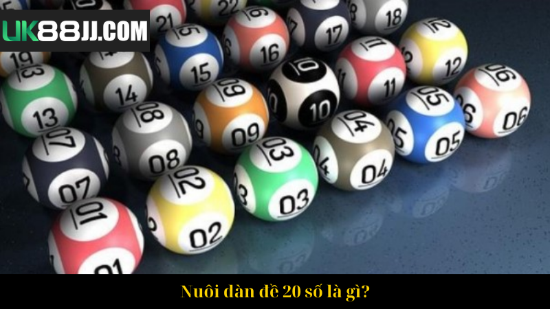 Nuôi dàn đề 20 số là gì